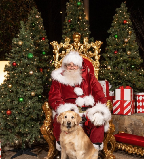 Santa Claus in a red suit sits on a golden throne with a golden retriever at his feet, surrounded by Christmas trees and gifts.
