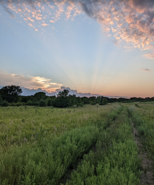 A serene landscape at sunset, featuring a grassy field and colorful clouds in the sky.