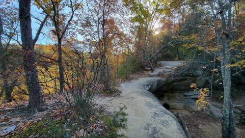 A scenic view of a rocky path surrounded by autumn trees and sunlight filtering through the foliage.