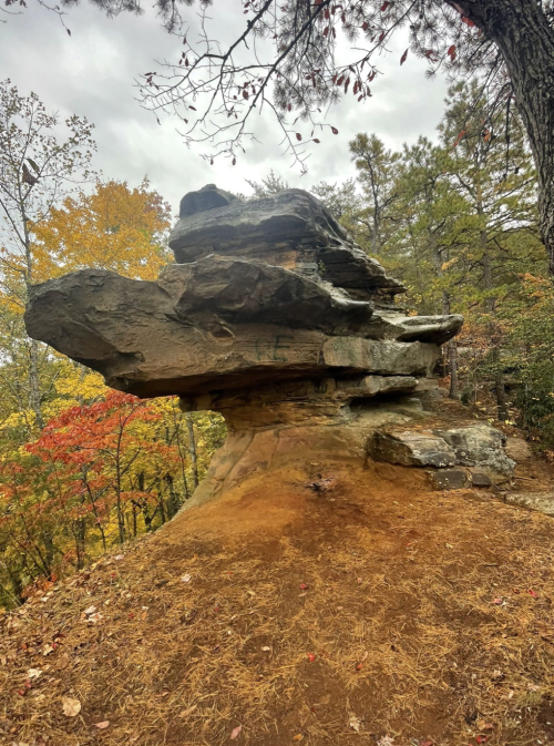 A large, flat-topped rock formation surrounded by autumn trees and foliage in a forested area.