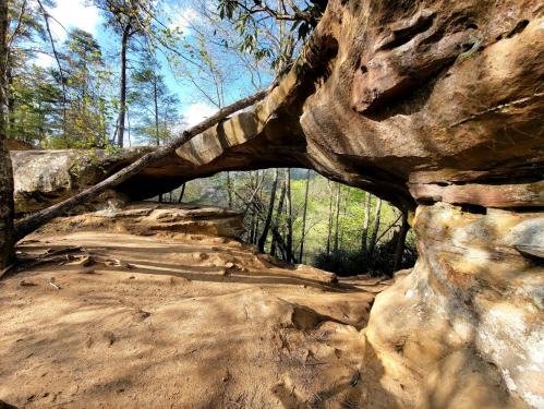 A natural stone archway surrounded by trees and greenery, with a sandy ground beneath.