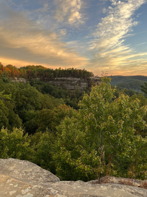 A scenic view of a lush green valley with a rocky cliff under a colorful sunset sky.