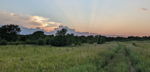 A serene landscape at sunset, featuring a grassy field, trees, and colorful clouds in the sky.