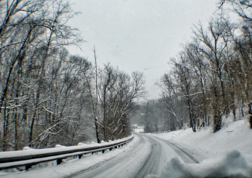 A snowy road winds through a forest, with trees covered in snow and a soft, overcast sky.
