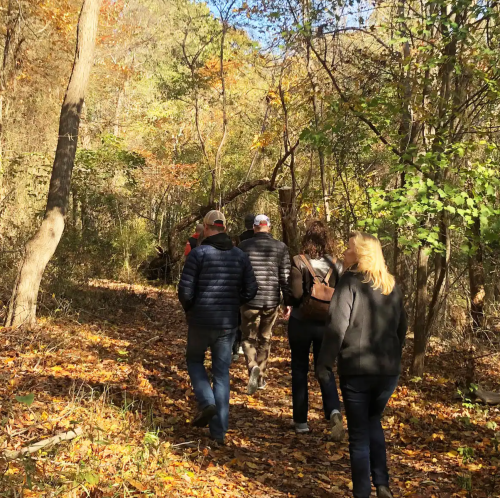 A group of people walking on a forest trail surrounded by autumn foliage.