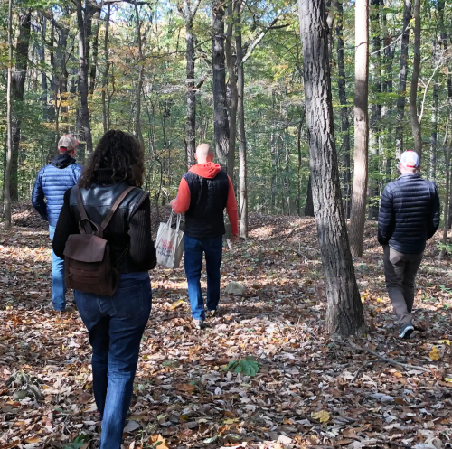 A group of four people walking on a leaf-covered trail in a forest, surrounded by trees in autumn.