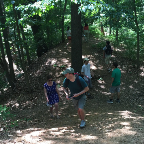 A group of people hiking on a wooded trail, surrounded by lush green trees and sunlight filtering through the leaves.