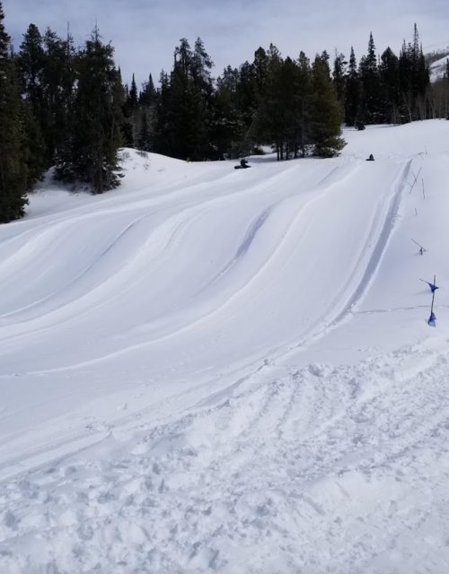 A snowy hill with smooth, curved slopes, surrounded by trees, ideal for sledding or snow tubing.