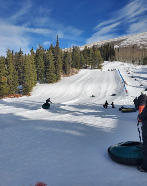 A snowy hill with people tubing, surrounded by evergreen trees and a clear blue sky.