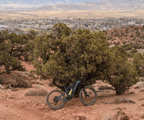 A mountain bike rests against a bush on a rocky trail, overlooking a valley and distant mountains.