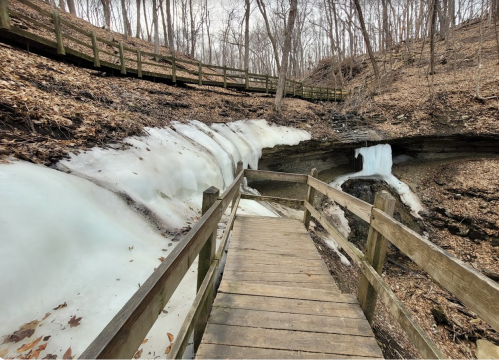 A wooden walkway leads through a wooded area with melting snow and ice along the path.