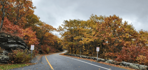 A winding road surrounded by vibrant autumn trees with orange and yellow leaves under a cloudy sky.