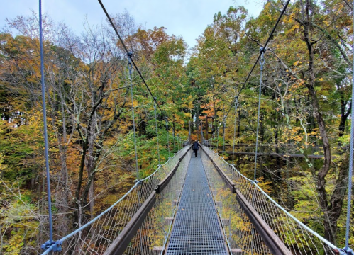 A person walks on a suspension bridge surrounded by vibrant autumn foliage.