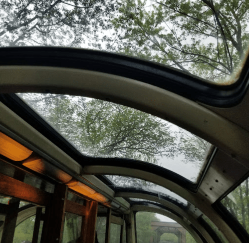 View from inside a train with a curved glass ceiling, showcasing trees and a cloudy sky outside.