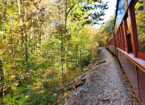 A train travels along a narrow track surrounded by vibrant autumn foliage and trees.