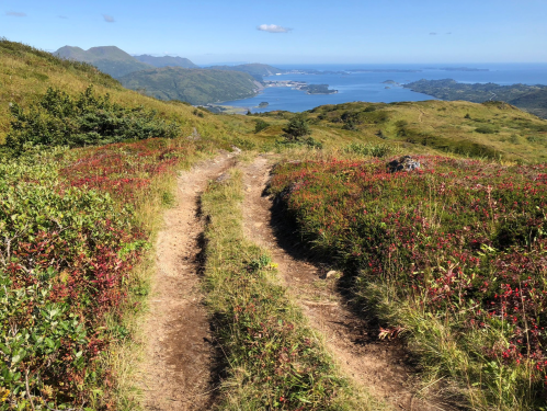 A winding dirt path through green hills, with a scenic view of a bay and islands in the distance under a clear blue sky.