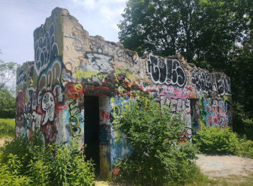 A dilapidated building covered in colorful graffiti, surrounded by overgrown vegetation and trees.