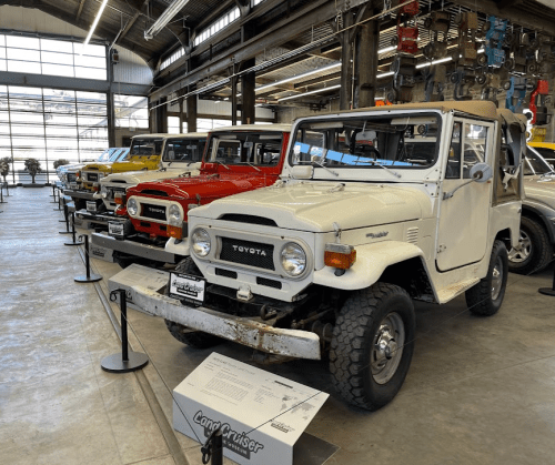 A row of vintage Toyota Land Cruisers in a museum, showcasing various colors and models.