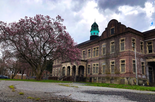 An old brick building with a green dome, surrounded by a flowering tree and cloudy skies.