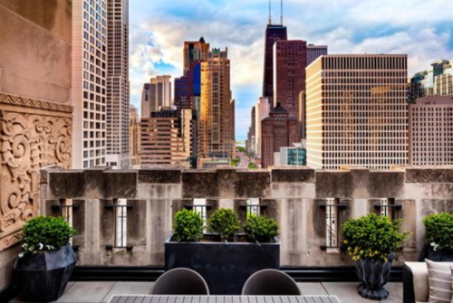 A rooftop view of a city skyline with modern buildings and a colorful sky at sunset. Green plants in foreground.