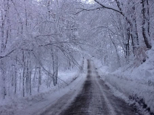 A snow-covered road surrounded by trees blanketed in white, creating a serene winter landscape.