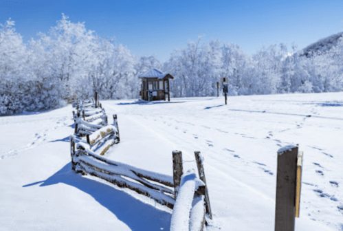 A snowy landscape with a wooden fence, a gazebo, and trees covered in frost under a clear blue sky.