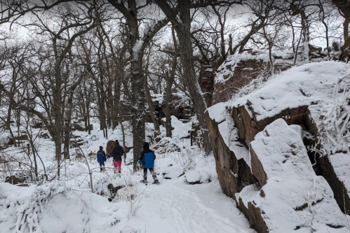 Three people walking on a snowy path through a forest with bare trees and rocky terrain.
