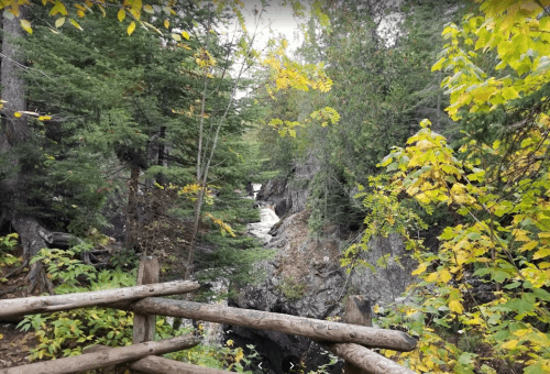 A serene forest scene with a flowing creek, surrounded by trees and autumn foliage. A wooden railing in the foreground.