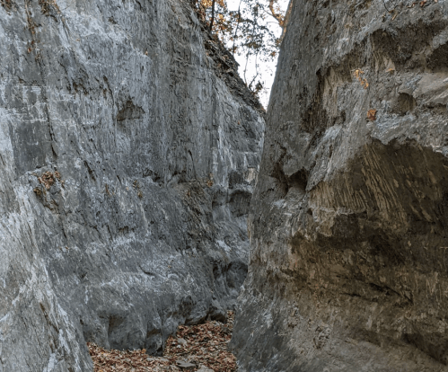 Narrow rocky canyon with steep gray walls and scattered autumn leaves on the ground.