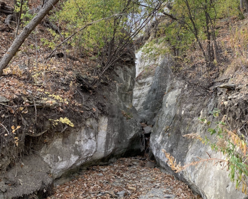 A narrow canyon with rocky walls, surrounded by sparse vegetation and fallen leaves.
