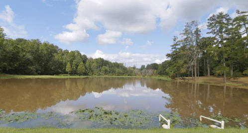 A serene pond surrounded by trees, with a clear blue sky and fluffy clouds reflected on the water's surface.