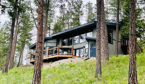 A modern house with large windows, surrounded by tall pine trees and green grass on a hillside.