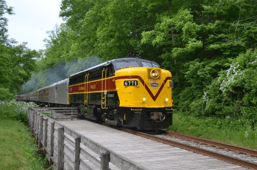 A vintage yellow and black train travels along a wooden bridge surrounded by lush green trees.