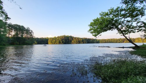 A serene lake surrounded by trees, with calm water reflecting the sky and a small boat in the distance.