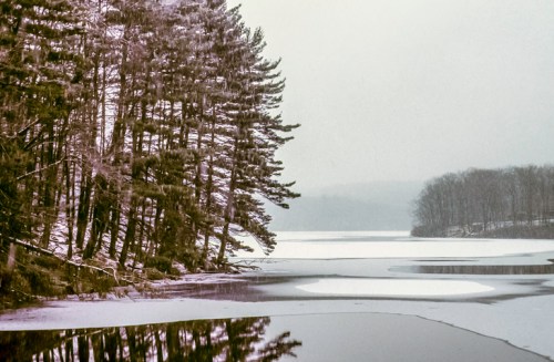 A serene winter landscape featuring a frozen lake surrounded by snow-covered trees and a misty atmosphere.