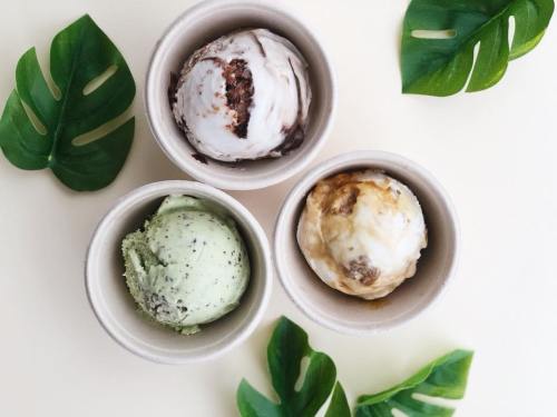 Three ice cream scoops in bowls: chocolate swirl, mint green, and caramel, surrounded by green leaves.