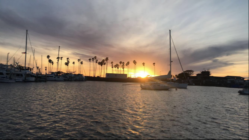 Sunset over a marina with sailboats and palm trees silhouetted against a colorful sky.