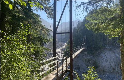 A wooden suspension bridge spans a river, surrounded by lush green trees and mountains in the background.