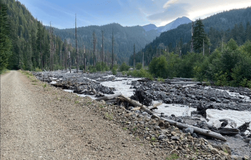 A gravel path alongside a river, surrounded by tall trees and mountains in the background under a clear sky.