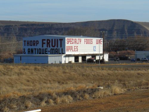A large building with signs for "Thorp Fruit & Antique Mall" and "Specialty Foods" in a rural landscape.