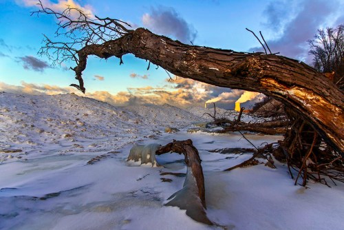 A twisted tree branch extends over a snowy landscape under a colorful sky with clouds.