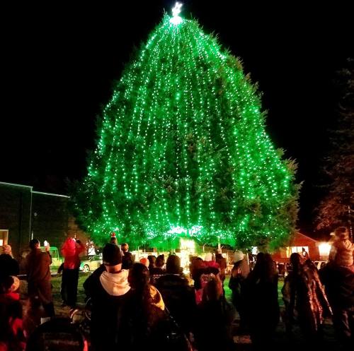 A large, brightly lit green Christmas tree stands at night, surrounded by a crowd of people enjoying the festive atmosphere.