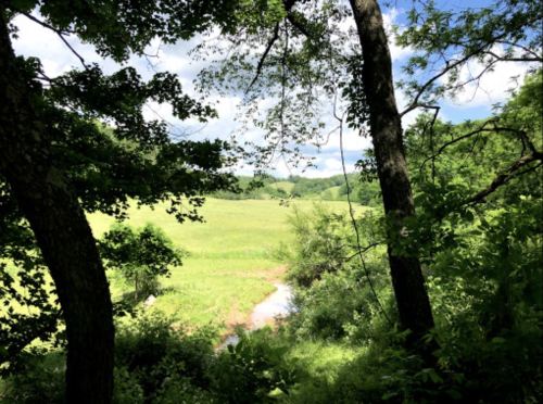 A serene landscape featuring a green field, trees, and a winding stream under a blue sky with fluffy clouds.