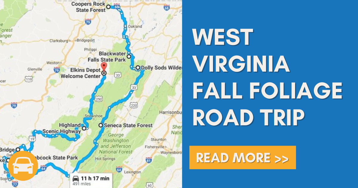 Take This Gorgeous Fall Foliage Road Trip To See West Virginia Like ...