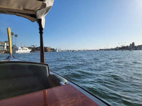 View from a boat on calm water, with yachts and palm trees in the background under a clear blue sky.