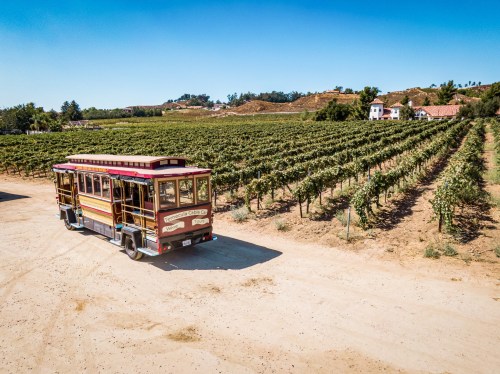 A vintage trolley parked on a dirt path surrounded by lush vineyards under a clear blue sky.