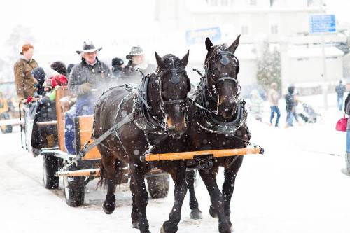 Two horses pull a sled through a snowy street, with people walking in the background and snowflakes falling.