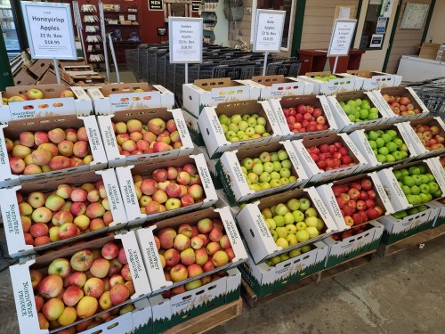 A display of various apple varieties in boxes at a market, including red, green, and yellow apples.