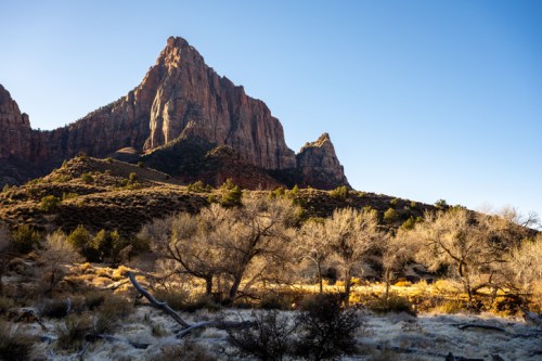 A rugged mountain peak rises above a landscape of dry trees and golden grass under a clear blue sky.