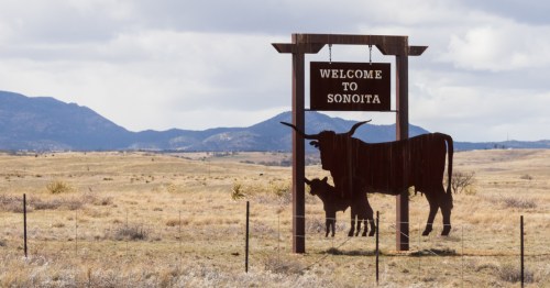 A sign saying Welcome to Sonoita, with silhouettes of cows next to it.
